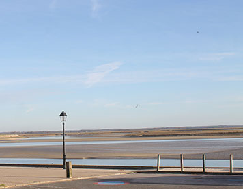 Vue